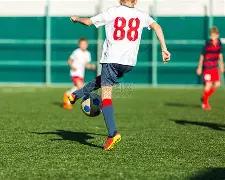 全国信用修,复平台建设,获市场监管,007球探足球比分,007球探体育即时比分,007球探体育比分网,比分直播