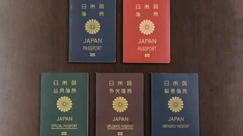 “卡尼吉亚：速度之王，揭秘球场传奇！”